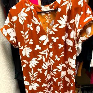 A new day shift dress